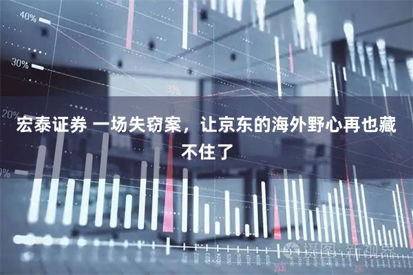 宏泰证券 一场失窃案，让京东的海外野心再也藏不住了
