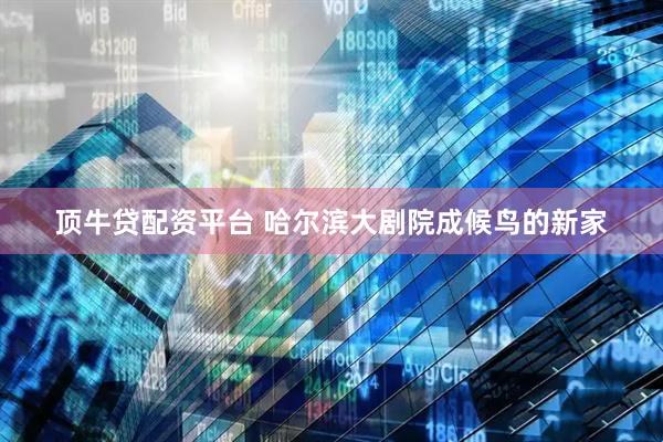 顶牛贷配资平台 哈尔滨大剧院成候鸟的新家